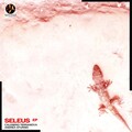 Calogero Terranova、Andrea Sturnio - Africa