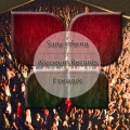 Sany Inferno - Firework