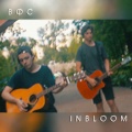Вокруг фонарного столба - In Bloom