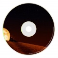 J. Gross - Rabbits in the Headlights