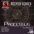 Fiddler、Paul Martinez - Processus (Oliver Petkovski Remix)