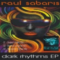 Raul Sabaris - Shake It