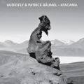 Audiofly、Patrice Bäumel - Atacama (Damian Lazarus Re-Shape)