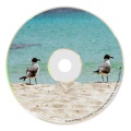 Shivil、Karan - Umair