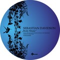 sebastian davidson - Mountain Areas