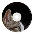 Deepmob - Come On (Syazwan Haziq Remix)
