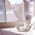 小依然 - OK歌
