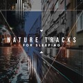 #18 Sleeping Rain Songs for Meditation