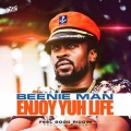 Beenie Man、Beenieman - Enjoy Yuh Life