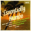 Artie Shaw & His Gramercy Five - Stop and Go Mambo
