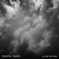 12 Peaceful Tracks to Still the Mind