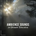 2018 Relaxing Ambience Sounds for Ultimate Relaxation