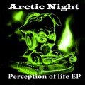 Arctic Night - Perception of Life (Guido Sava Remix)
