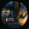 Carlos Pollarky - Abstract in Motion
