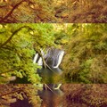 The Weight、The Light & The Weight、The Light - Autumn Spring (Asleep at the Beat)