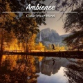 Yoga Music Reflections、Yoga Music Experience、Yoga Music Swami - Sleep Help Theta Waves
