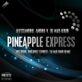 alessandro、Andro V - Pineapple Express