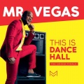 Natel、Mr. Vegas - Paintbrush