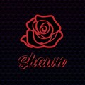 Shawn Stockman - Been So Long