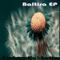 Andrey Subbotin - Baltia