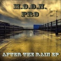 M.O.O.N. Pro - After the Rain