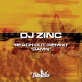 DJ Zinc - Damn
