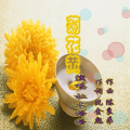 杜木格格 - 菊花黄