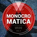 Monocromatica, Vol. 2