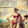 Ahmet Kilic - Endless Summer