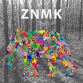 21 ROOM、Format Groove - Synthesis