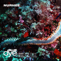Nurhee - Upper Level