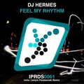 DJ Hermes - Feel My Rhythm