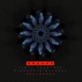 Gruuve - Pineapple Express