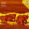 Walle - Beat Box