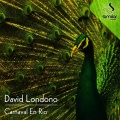 David Londono - In the Road