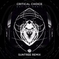 Critical Choice - Out of Orbit (Suntree )(Remix)