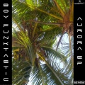 Boy Funktastic - Aurora Dream