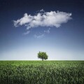 Trouble Sleeping Music Universe、New Age Deep Massage、Zen Meditation、Natural White Noise - Stressless