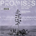 Promises (David Guetta Remix)