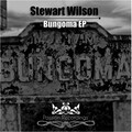 Stewart Wilson - Malawi