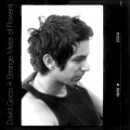 David Garza - Theme