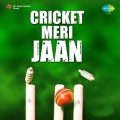 One Day Cricket