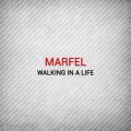 Walking in a Life