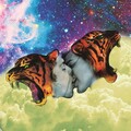 Fear of Tigers - Hidup