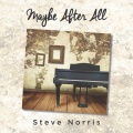 Steve Norris、Leigh Jones - Lie Translator (feat. Leigh Jones)