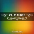 Calm Tunes, Vol. 02