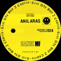 Anil Aras - Shake Dat Azz
