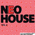 Stefan Naimor - Corupt Society (Toti Pereira & Paco P Remix)