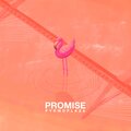 PYRMDPLAZA、Levi Thomas Robinson - Promise