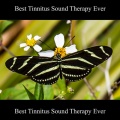 Paul Harrison - Best Tinnitus Sound Therapy Ever